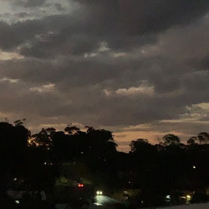 Meet your Posher, Giselle